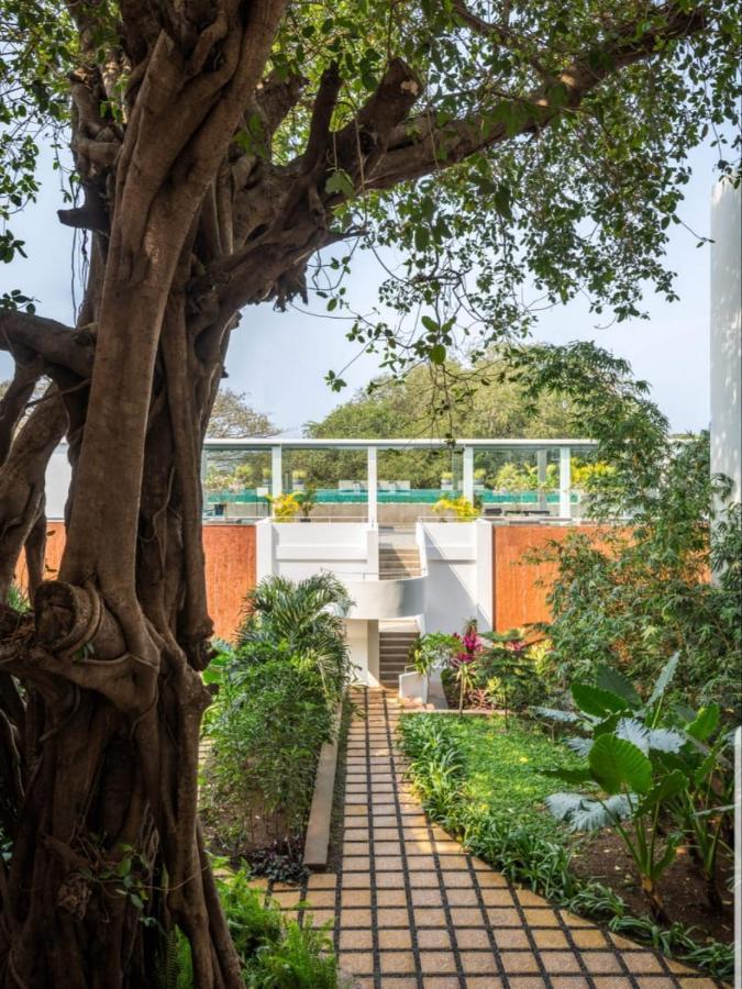 2bhk Along With Private Garden Near Candolim Apartment Verem